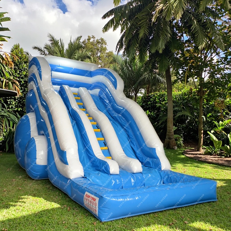 공장 맞춤형 저렴한 어린이 야외용 더블 슬라이드 워터파 - Kids Outdoor Inflatable Water Slide 리뷰 및 가격