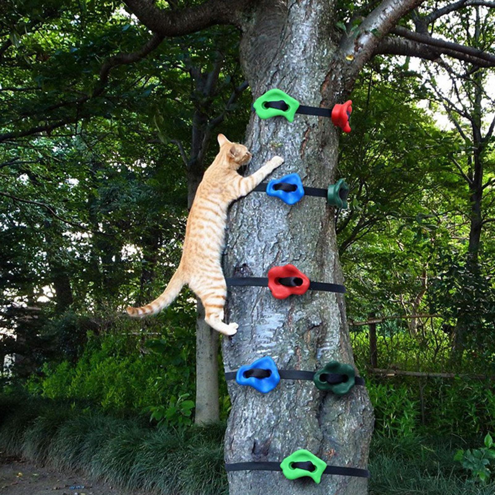 야외 등반 놀이기구 조절 가능한 고강도 장애물 코스 훈 - Kids Outdoor Obstacle Course Equipment 리뷰 및 가격