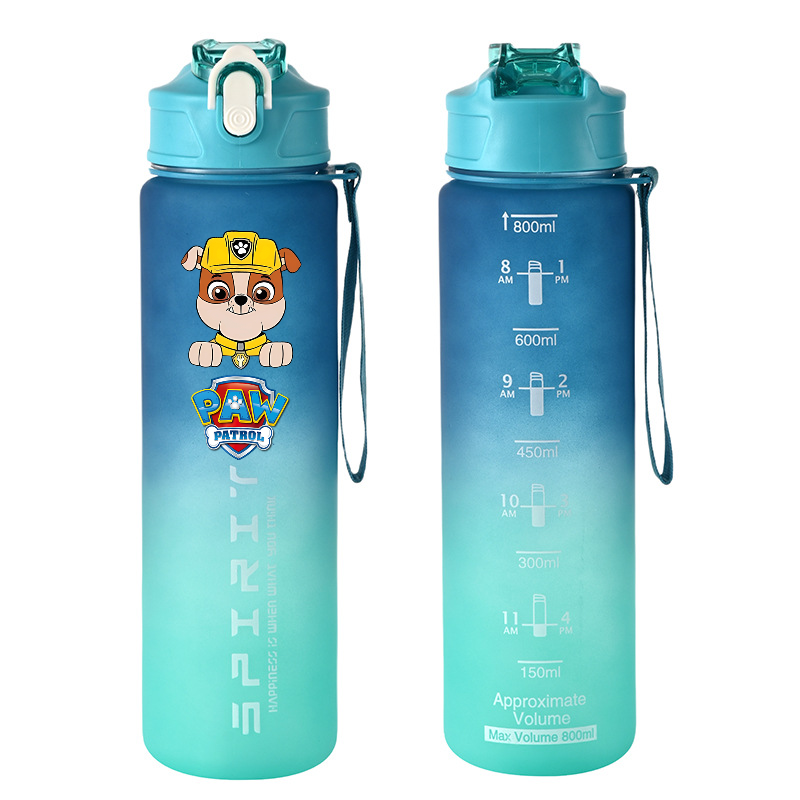 800ml PAW Patrol 스포츠 물병 애니메이션  - Kids Outdoor Kitchen Accessories 리뷰 및 가격