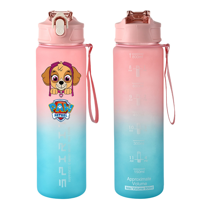 800ml PAW Patrol 스포츠 물병 애니메이션  - Kids Outdoor Kitchen Accessories 리뷰 및 가격