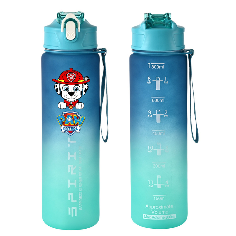 800ml PAW Patrol 스포츠 물병 애니메이션  - Kids Outdoor Kitchen Accessories 리뷰 및 가격